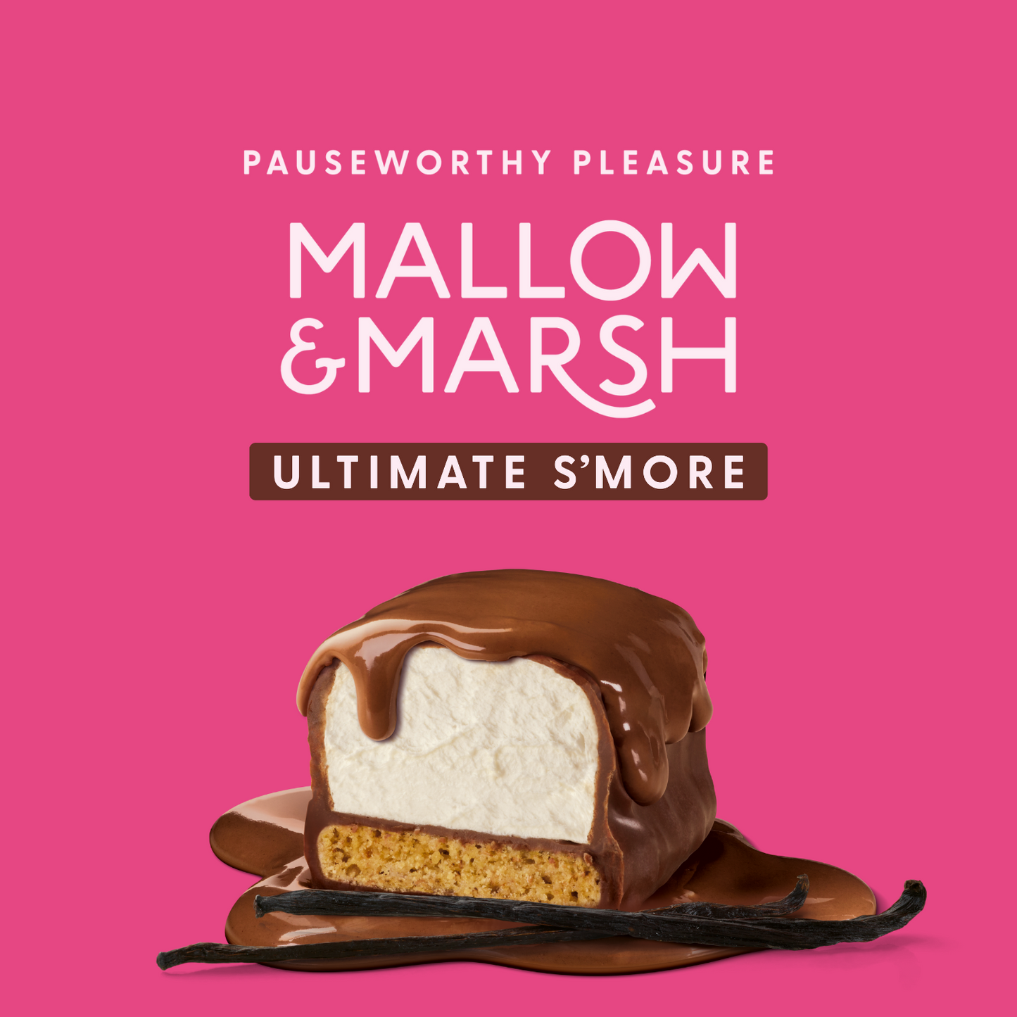 Toasted Vanilla Ultimate S'more